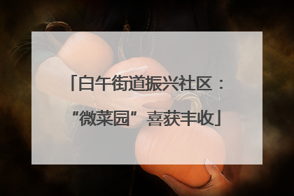 白午街道振兴社区：“微菜园”喜获丰收