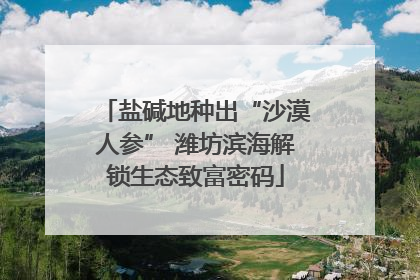 盐碱地种出“沙漠人参” 潍坊滨海解锁生态致富密码