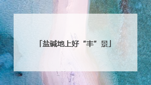 盐碱地上好“丰”景
