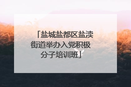 盐城盐都区盐渎街道举办入党积极分子培训班