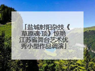 盐城射阳杂技《草原魂·顶》惊艳江苏省舞台艺术优秀小型作品调演
