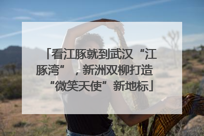 看江豚就到武汉“江豚湾”，新洲双柳打造“微笑天使”新地标