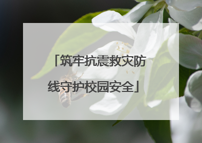 筑牢抗震救灾防线守护校园安全