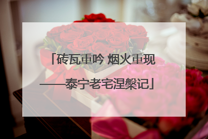 砖瓦重吟 烟火重现——泰宁老宅涅槃记