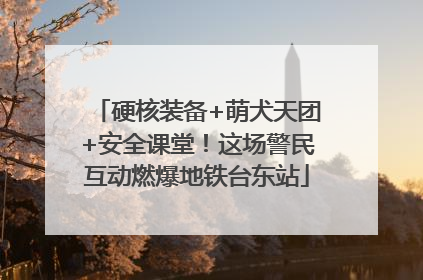 硬核装备+萌犬天团+安全课堂！这场警民互动燃爆地铁台东站