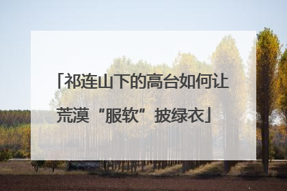 祁连山下的高台如何让荒漠“服软”披绿衣