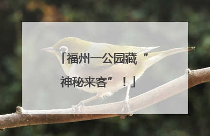 福州一公园藏“神秘来客”！