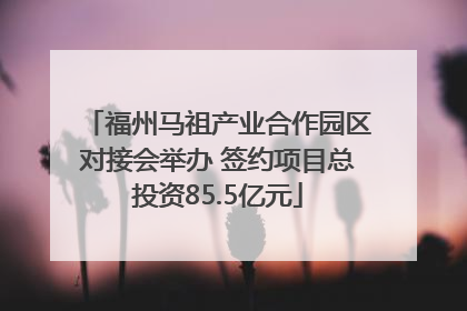 福州马祖产业合作园区对接会举办 签约项目总投资85.5亿元