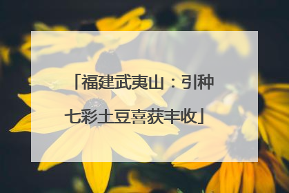 福建武夷山：引种七彩土豆喜获丰收