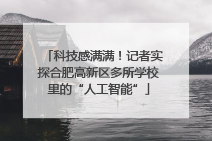 科技感满满！记者实探合肥高新区多所学校里的“人工智能”