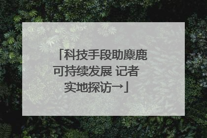 科技手段助麋鹿可持续发展 记者实地探访→