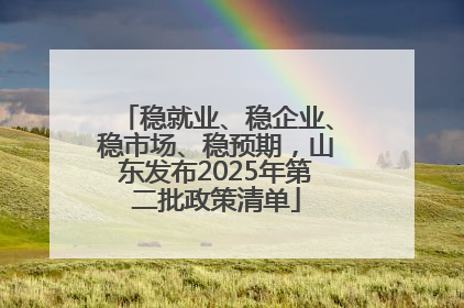 稳就业、稳企业、稳市场、稳预期，山东发布2025年第二批政策清单