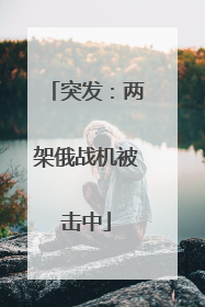 突发：两架俄战机被击中
