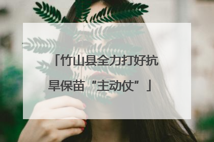 竹山县全力打好抗旱保苗“主动仗”