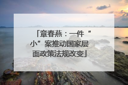 章春燕：一件“小”案推动国家层面政策法规改变