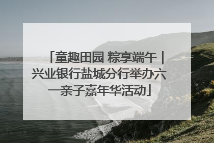 童趣田园 粽享端午｜兴业银行盐城分行举办六一亲子嘉年华活动