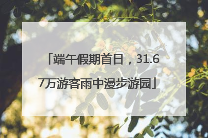 端午假期首日，31.67万游客雨中漫步游园