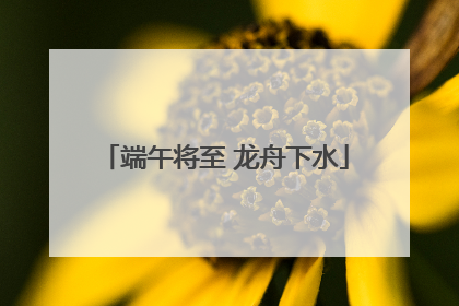端午将至 龙舟下水