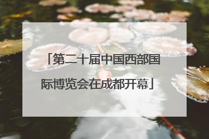 第二十届中国西部国际博览会在成都开幕