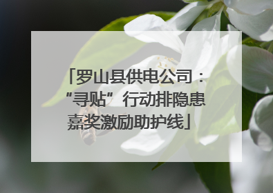 罗山县供电公司：“寻贴”行动排隐患 嘉奖激励助护线