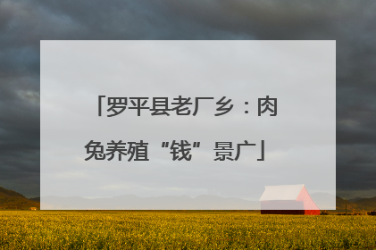 罗平县老厂乡：肉兔养殖“钱”景广