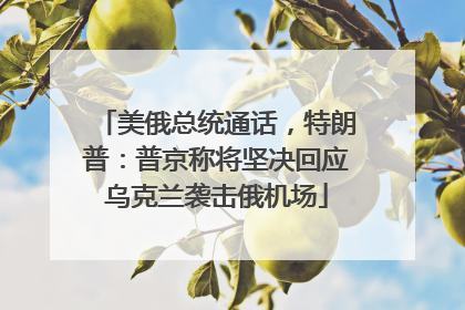 美俄总统通话，特朗普：普京称将坚决回应乌克兰袭击俄机场