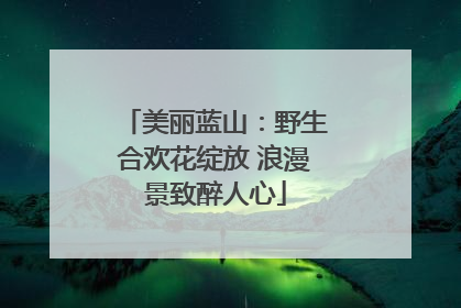 美丽蓝山：野生合欢花绽放 浪漫景致醉人心
