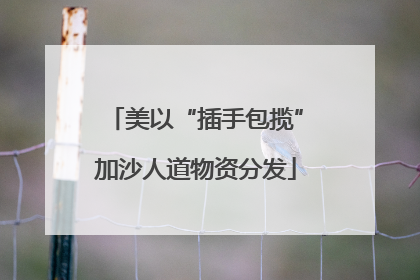 美以“插手包揽”加沙人道物资分发