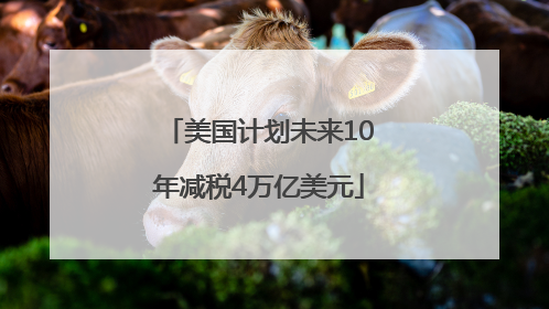 美国计划未来10年减税4万亿美元