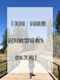 美国：同意推迟对欧盟征收50%关税