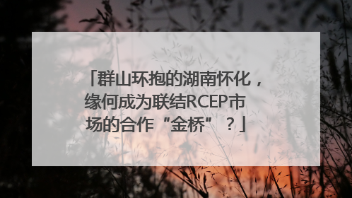 群山环抱的湖南怀化，缘何成为联结RCEP市场的合作“金桥”？