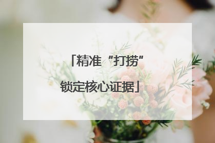 精准“打捞”锁定核心证据