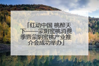红动中国 桃醉天下——蒙阴蜜桃消费季暨蒙阴蜜桃产业推介会成功举办