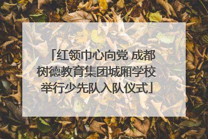 红领巾心向党 成都树德教育集团城厢学校举行少先队入队仪式