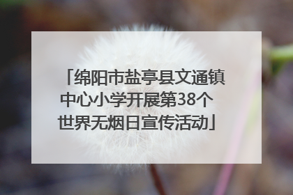 绵阳市盐亭县文通镇中心小学开展第38个世界无烟日宣传活动