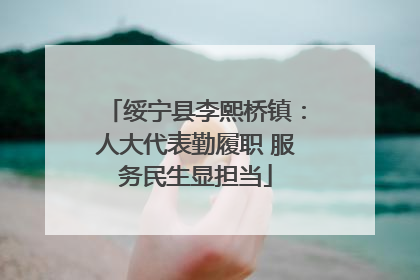 绥宁县李熙桥镇：人大代表勤履职 服务民生显担当