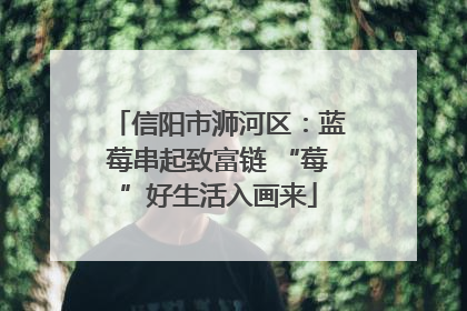 信阳市浉河区：蓝莓串起致富链 “莓”好生活入画来