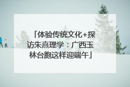 体验传统文化+探访朱熹理学：广西玉林台胞这样迎端午