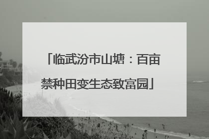 临武汾市山塘：百亩禁种田变生态致富园