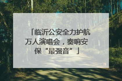 临沂公安全力护航万人演唱会，奏响安保“最强音”
