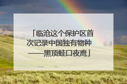 临沧这个保护区首次记录中国独有物种——黑顶蛙口夜鹰