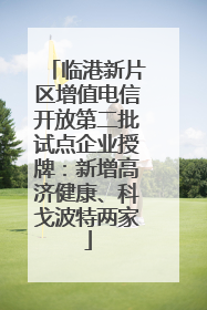 临港新片区增值电信开放第二批试点企业授牌：新增高济健康、科戈波特两家