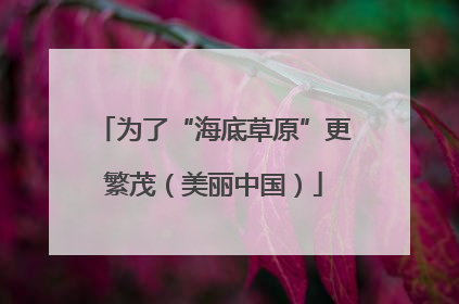 为了“海底草原”更繁茂（美丽中国）
