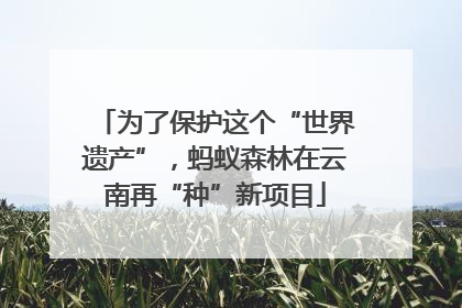 为了保护这个“世界遗产”，蚂蚁森林在云南再“种”新项目