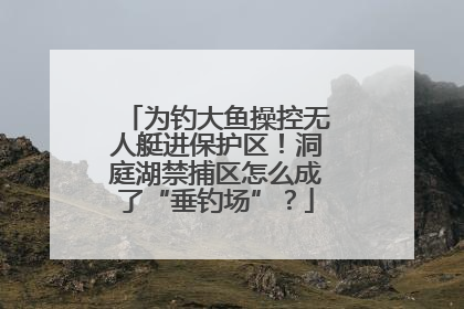 为钓大鱼操控无人艇进保护区！洞庭湖禁捕区怎么成了“垂钓场”？