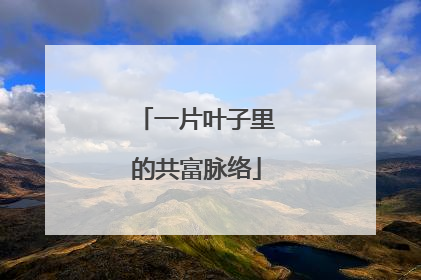 一片叶子里的共富脉络