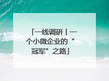 一线调研丨一个小微企业的“冠军”之路