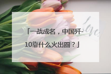 一战成名，中国歼-10靠什么火出圈？