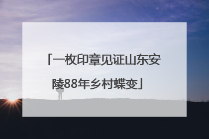 一枚印章见证山东安陵88年乡村蝶变