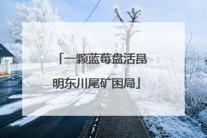 一颗蓝莓盘活昆明东川尾矿困局